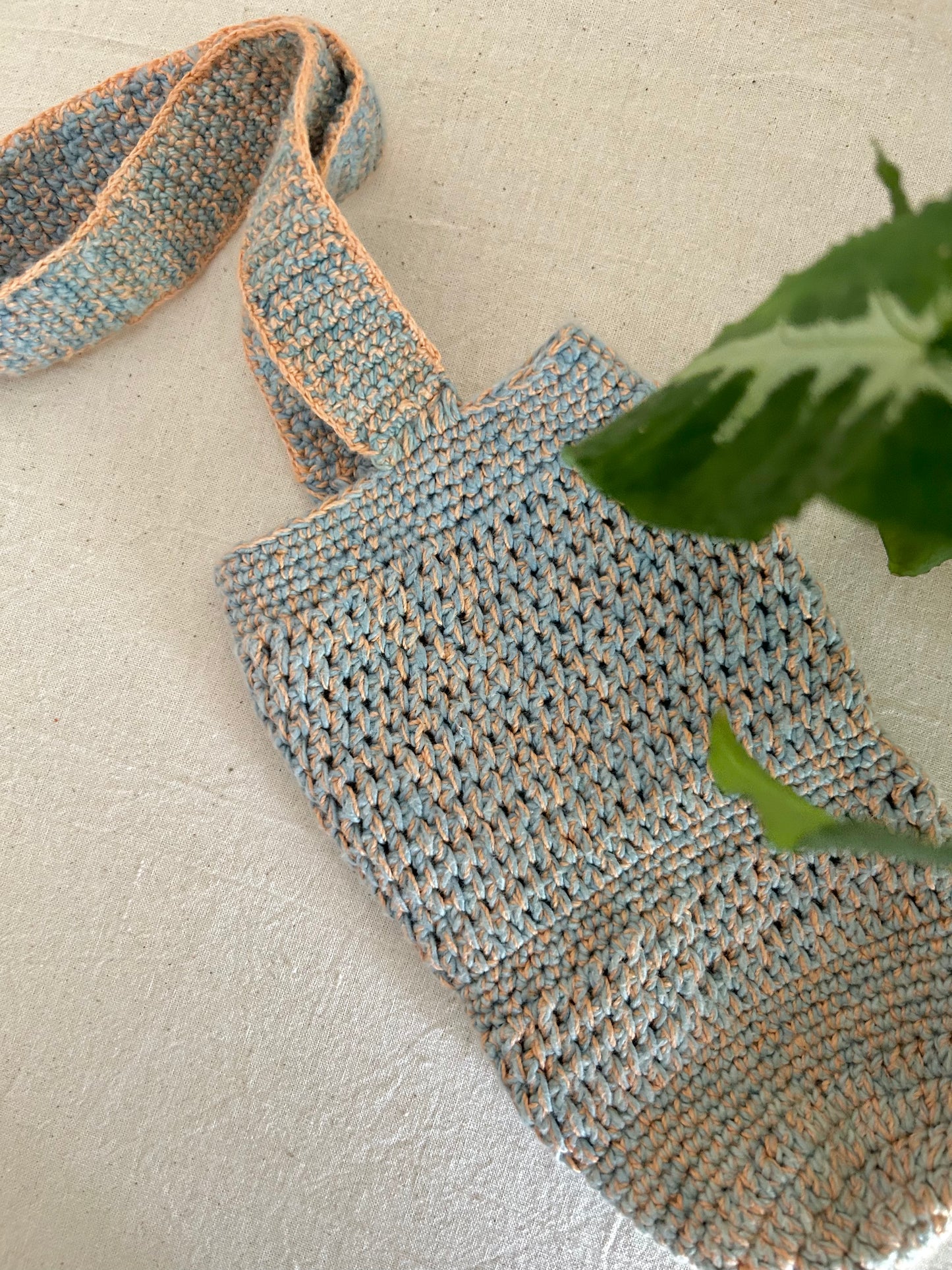 Stream Plant Dyed Crochet Bottle Holder