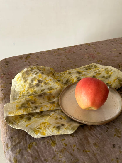 Organic Cotton Khadi Napkin - Bundle Dyed